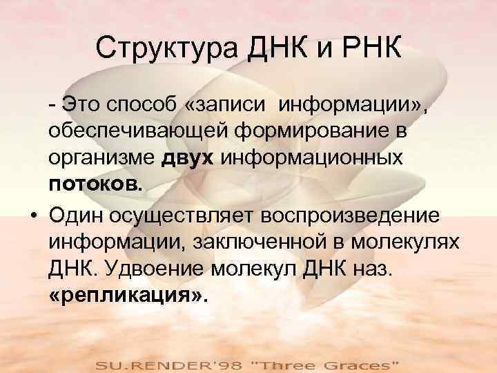 Структура ДНК и РНК - Это способ «записи информации» , обеспечивающей формирование в организме