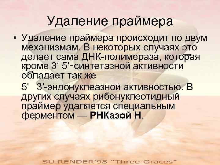 Удаление праймера • Удаление праймера происходит по двум механизмам. В некоторых случаях это делает