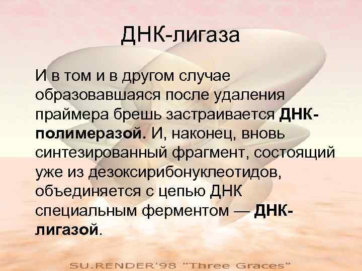 ДНК-лигаза И в том и в другом случае образовавшаяся после удаления праймера брешь застраивается
