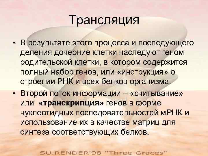 Трансляция • В результате этого процесса и последующего деления дочерние клетки наследуют геном родительской