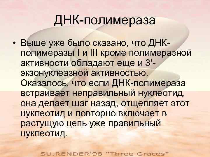 ДНК-полимераза • Выше уже было сказано, что ДНКполимеразы I и III кроме полимеразной активности