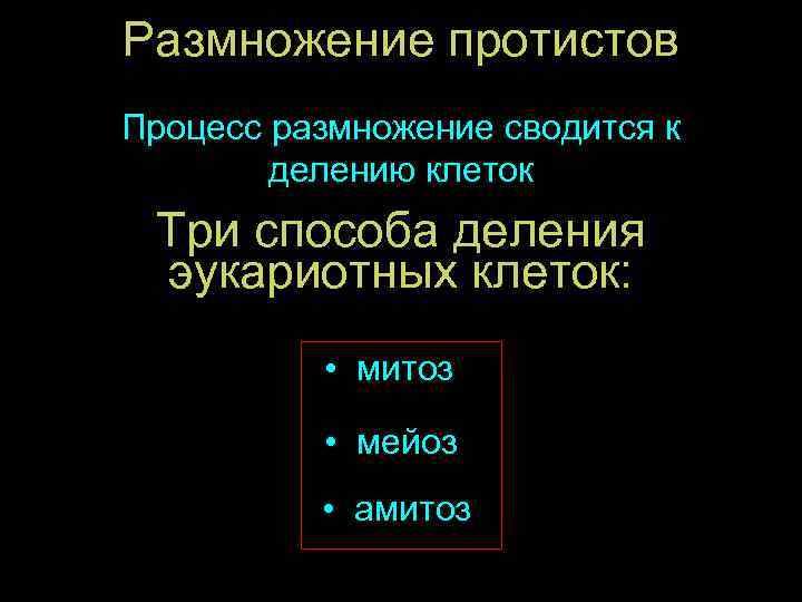 Размножение протистов Процесс размножение сводится к делению клеток Три способа деления эукариотных клеток: •