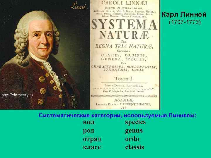 Карл Линней (1707 -1773) http: //elementy. ru Систематические категории, используемые Линнеем: вид species род