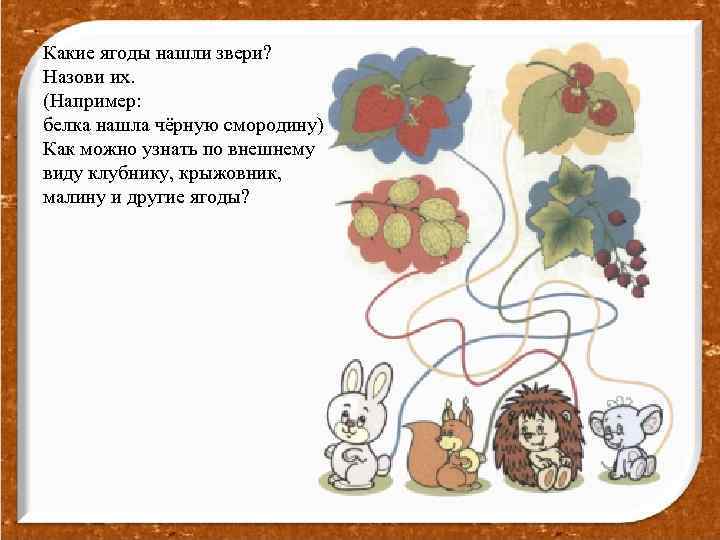 Какие ягоды нашли звери? Назови их. (Например: белка нашла чёрную смородину) Как можно узнать