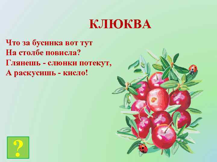 КЛЮКВА Что за бусинка вот тут На столбе повисла? Глянешь - слюнки потекут, А