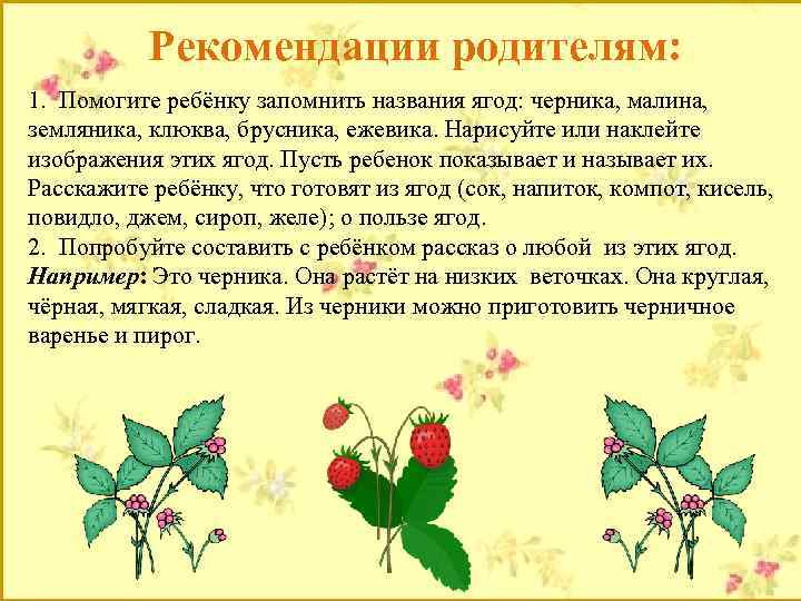 Рекомендации родителям: 1. Помогите ребёнку запомнить названия ягод: черника, малина, земляника, клюква, брусника, ежевика.