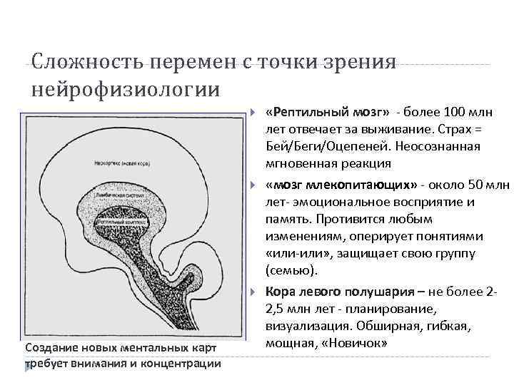 Сложность перемен с точки зрения нейрофизиологии Создание новых ментальных карт требует внимания и концентрации