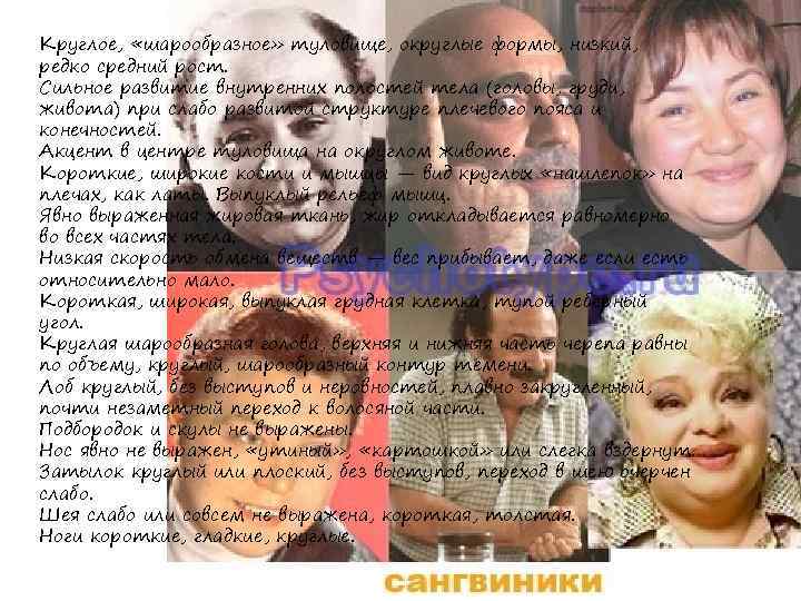 Круглое, «шарообразное» туловище, округлые формы, низкий, редко средний рост. Сильное развитие внутренних полостей тела