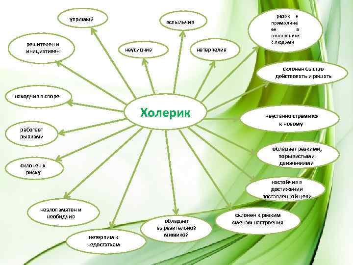 упрямый решителен и инициативен резок и прямолине ен в отношениях с людьми вспыльчив неусидчив