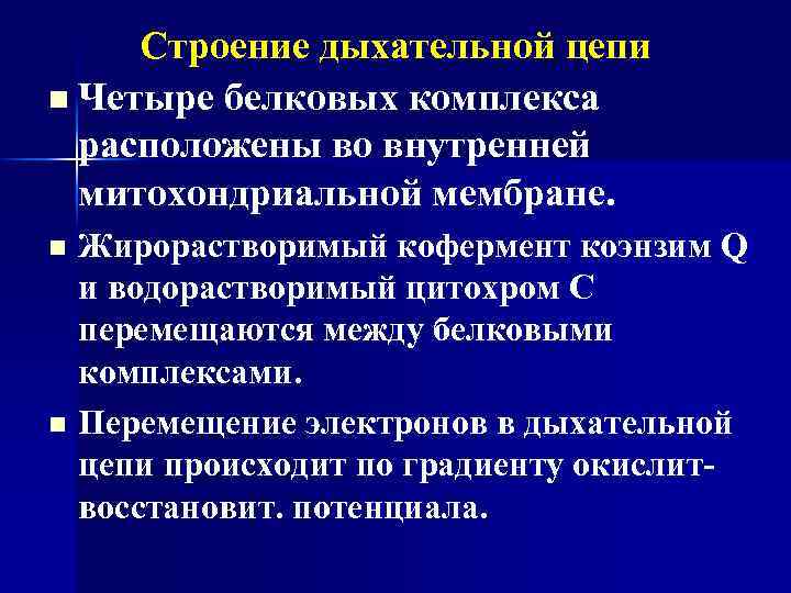 Строение дыхательной цепи n Четыре белковых комплекса расположены во внутренней митохондриальной мембране. n n