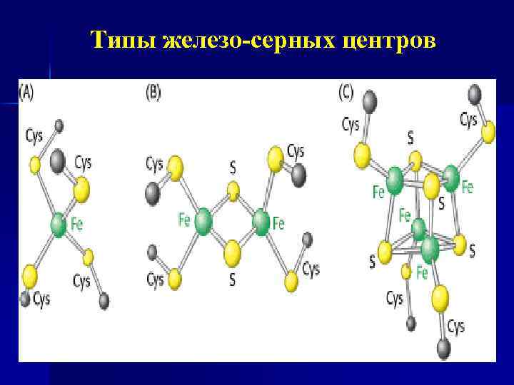 Типы железо-серных центров 