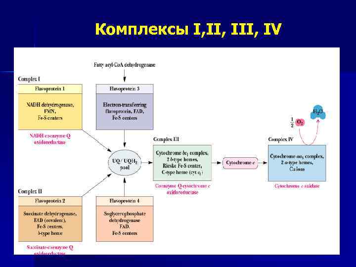 Комплексы I, III, IV 