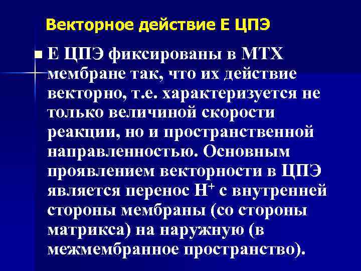 Векторное действие Е ЦПЭ n Е ЦПЭ фиксированы в МТХ мембране так, что их