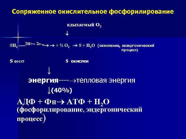 Сопряженное окислительное фосфорилирование вдыхаемый О 2 - SH 2 ----2 Н+-- 2 е- +