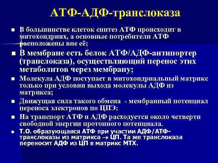 АТФ-АДФ-транслоказа n В большинстве клеток синтез АТФ происходит в митохондриях, а основные потребители АТФ