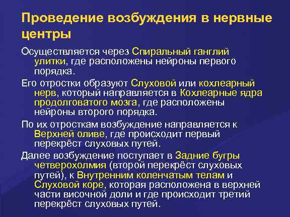 Проведение возбуждения в нервные центры Осуществляется через Спиральный ганглий улитки, где расположены нейроны первого