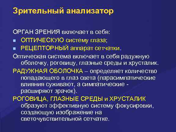 Какого значение анализаторов. Рецепторный аппарат зрительного анализатора. Методы исследования зрительного анализатора. Методы объективного исследования зрительного анализатора у детей. Инерционность зрительного анализатора.