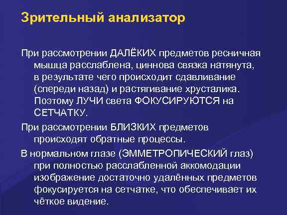 Зрительный анализатор При рассмотрении ДАЛЁКИХ предметов ресничная мышца расслаблена, циннова связка натянута, в результате