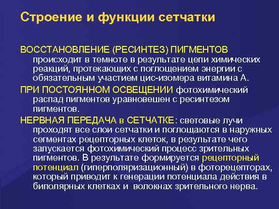 Строение и функции сетчатки ВОССТАНОВЛЕНИЕ (РЕСИНТЕЗ) ПИГМЕНТОВ происходит в темноте в результате цепи химических