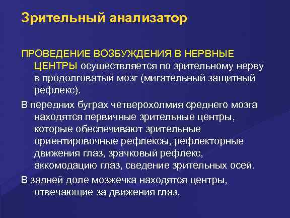 Зрительный анализатор ПРОВЕДЕНИЕ ВОЗБУЖДЕНИЯ В НЕРВНЫЕ ЦЕНТРЫ осуществляется по зрительному нерву в продолговатый мозг