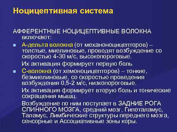Ноцицептивная система АФФЕРЕНТНЫЕ НОЦИЦЕПТИВНЫЕ ВОЛОКНА включают: А-дельта волокна (от механоноцицепторов) – толстые, миелиновые, проводят