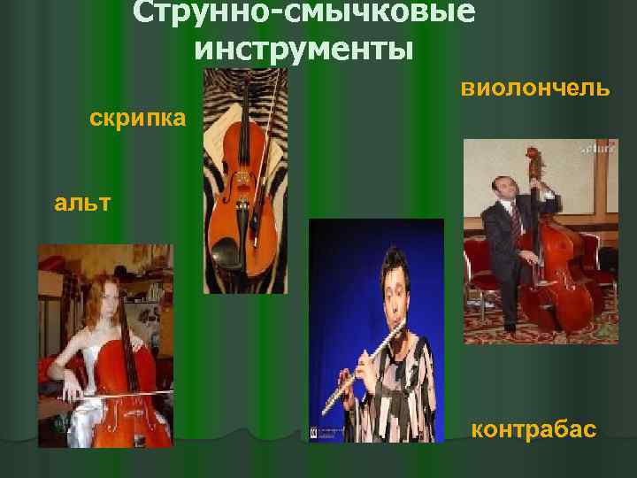 Струнно-смычковые инструменты виолончель скрипка альт контрабас 