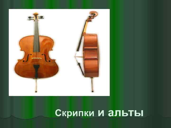 Скрипки и альты 