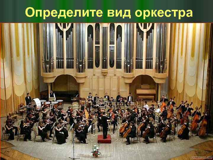 Определите вид оркестра 