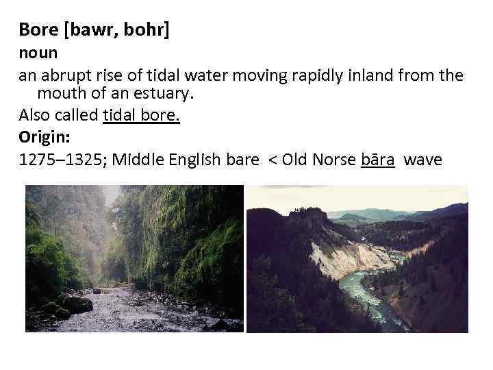 Bore [bawr, bohr] noun an abrupt rise of tidal water moving rapidly inland from