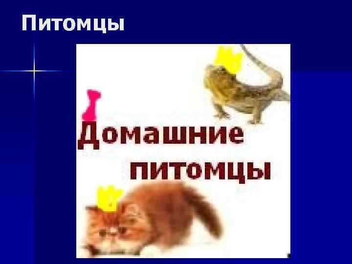 Питомцы 