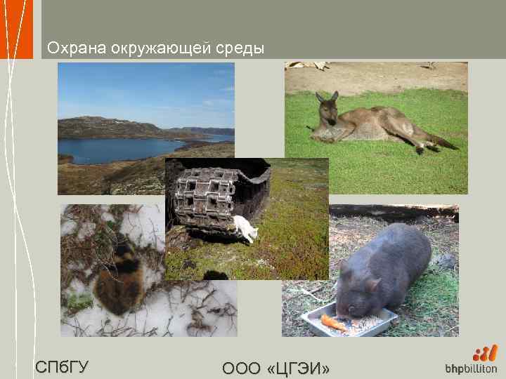 Охрана окружающей среды СПб. ГУ ООО «ЦГЭИ» 