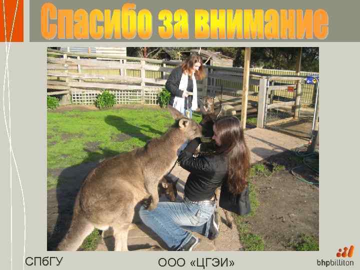 СПб. ГУ ООО «ЦГЭИ» 