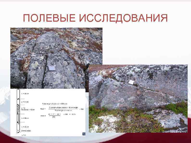 ПОЛЕВЫЕ ИССЛЕДОВАНИЯ 