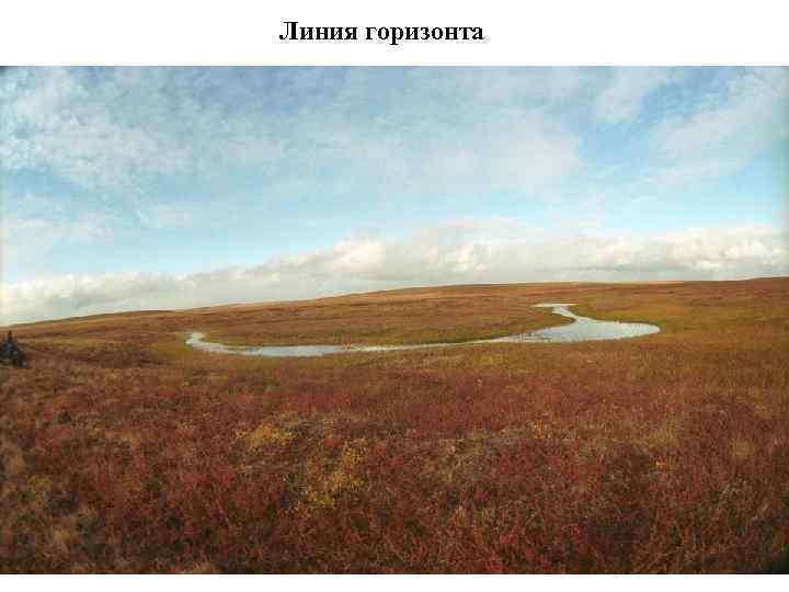 Линия горизонта 