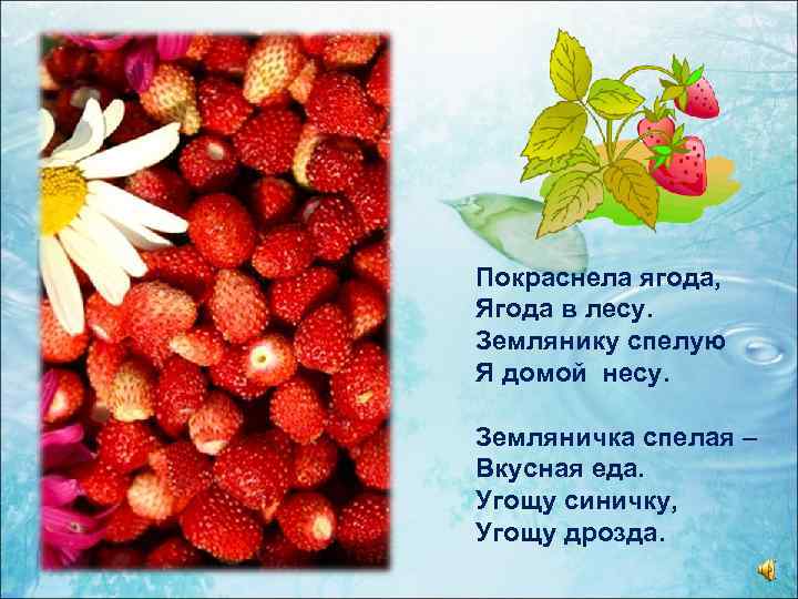 Покраснела ягода, Ягода в лесу. Землянику спелую Я домой несу. Земляничка спелая – Вкусная