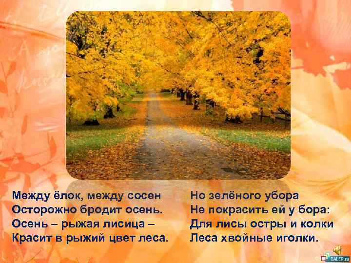 Между ёлок, между сосен Осторожно бродит осень. Осень – рыжая лисица – Красит в