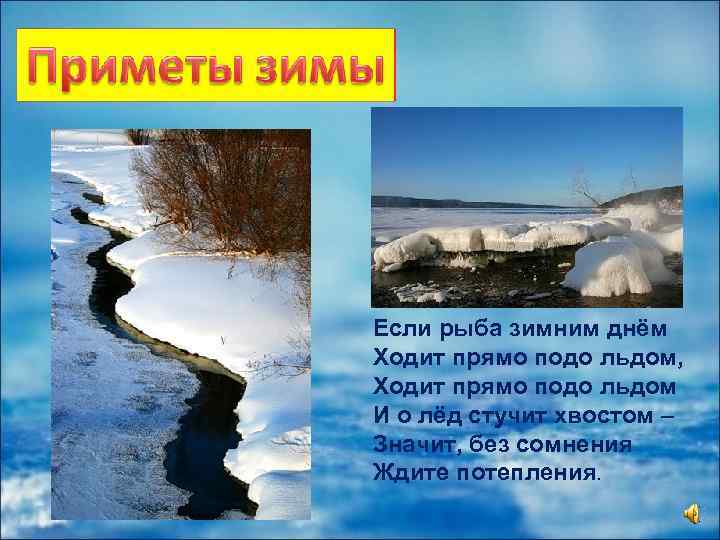 Если рыба зимним днём Ходит прямо подо льдом, Ходит прямо подо льдом И о