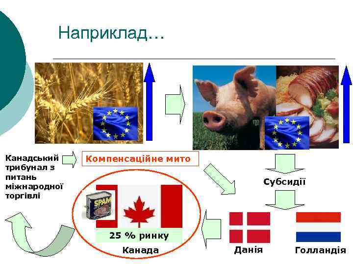 Наприклад… Канадський трибунал з питань міжнародної торгівлі Компенсаційне мито Субсидії 25 % ринку Канада