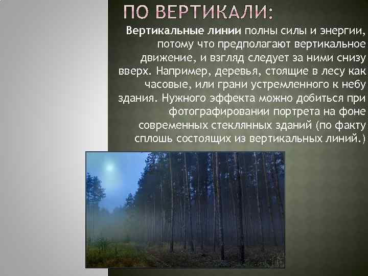 Вертикальные линии полны силы и энергии, потому что предполагают вертикальное движение, и взгляд следует