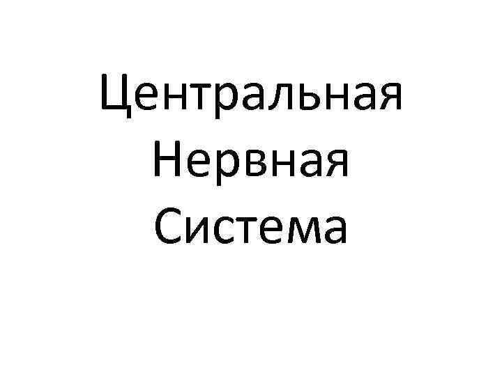 Центральная Нервная Система 