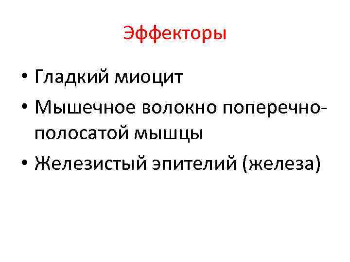 Эффекторы • Гладкий миоцит • Мышечное волокно поперечнополосатой мышцы • Железистый эпителий (железа) 