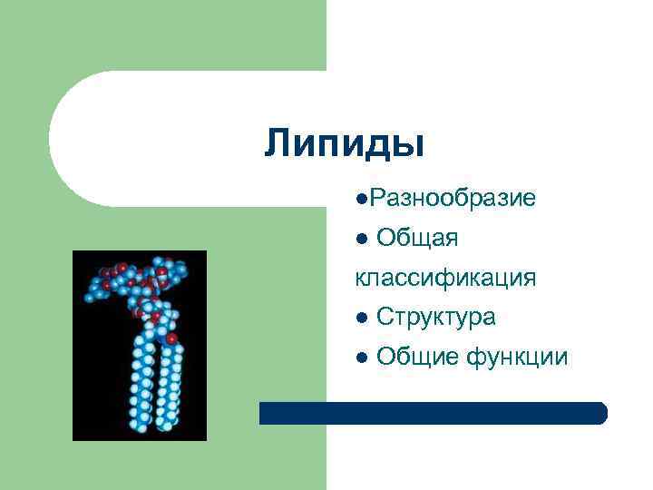 Липиды l. Разнообразие l Общая классификация l Структура l Общие функции 