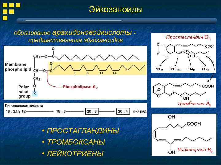 Эйкозаноиды биохимия презентация