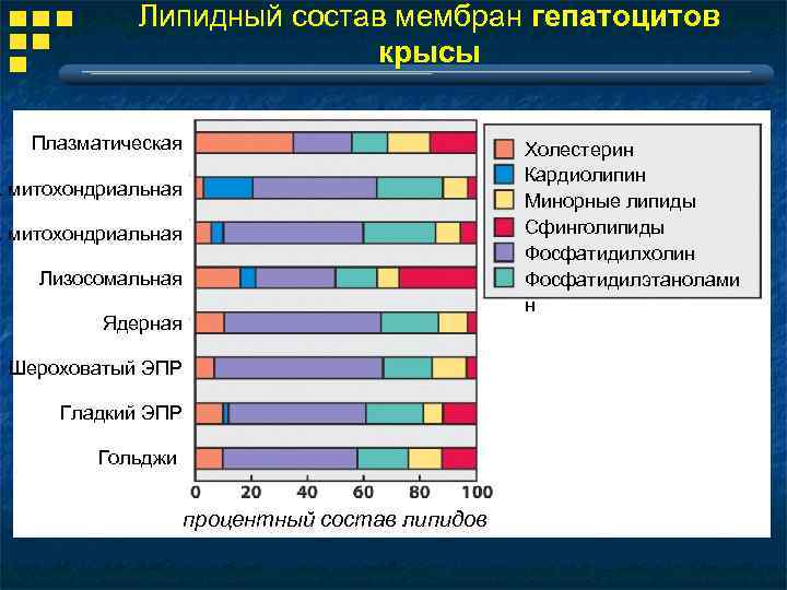Липидный состав мембран гепатоцитов крысы Плазматическая Холестерин Кардиолипин Минорные липиды Сфинголипиды Фосфатидилхолин Фосфатидилэтанолами н