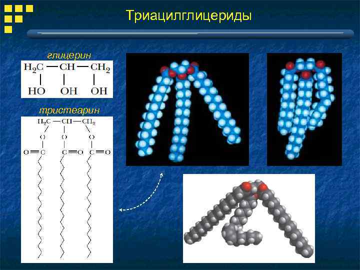 Триацилглицериды глицерин тристеарин 