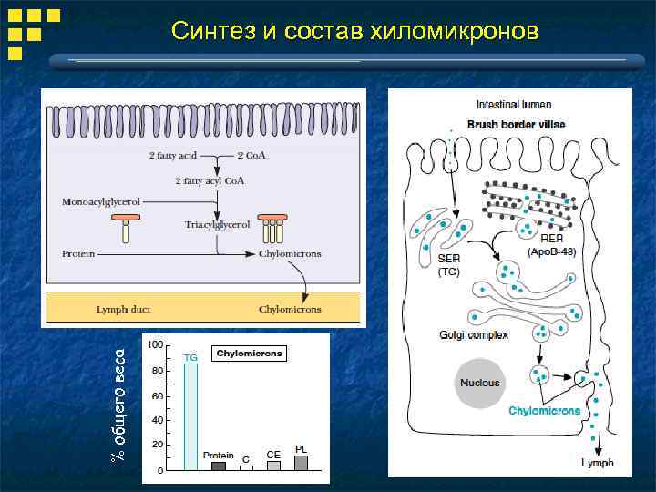 Масс синтез