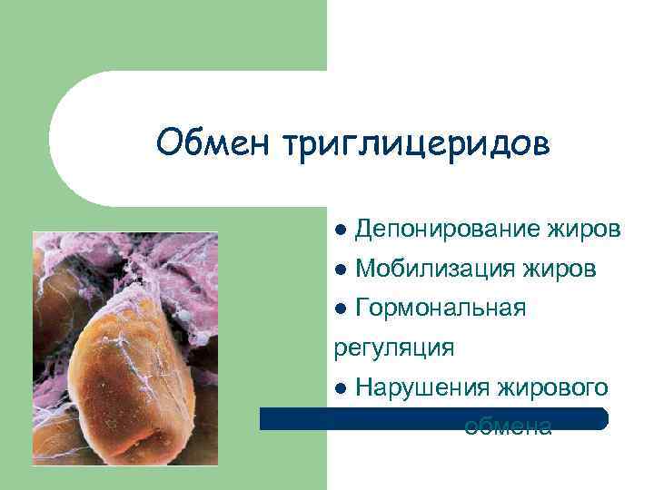 Обмен триглицеридов l Депонирование жиров l Мобилизация жиров l Гормональная регуляция l Нарушения жирового