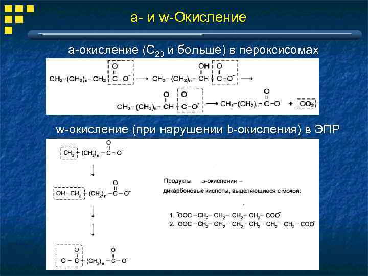 a- и w-Окисление a-окисление (С 20 и больше) в пероксисомах w-окисление (при нарушении b-окисления)