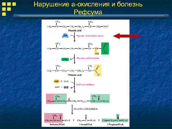 Нарушение a-окисления и болезнь Рефсума 