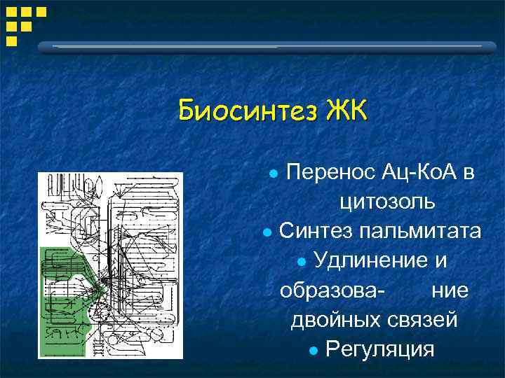 Биосинтез ЖК Перенос Ац-Ко. А в цитозоль l Синтез пальмитата l Удлинение и образование